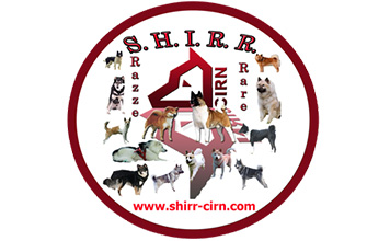 RADUNO TECNICO SHIRR 18 maggio 2019